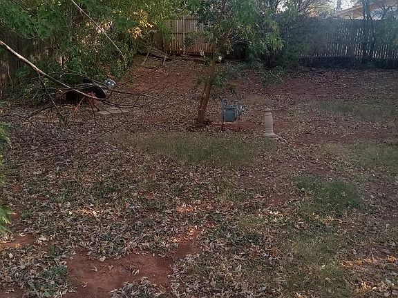 This is a photo of the back yard which is much bigger than what is viewed with this pic.