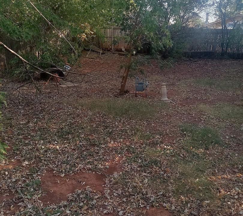 This is a photo of the back yard which is much bigger than what is viewed with this pic.