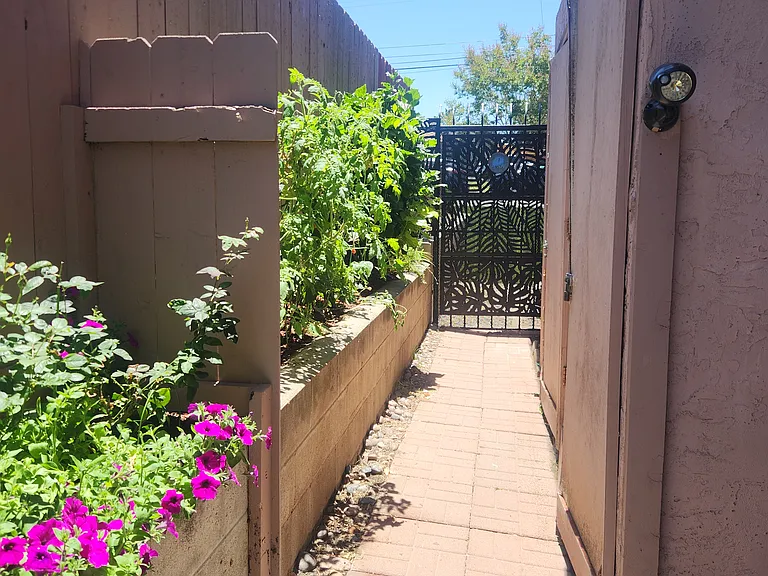 Back patio