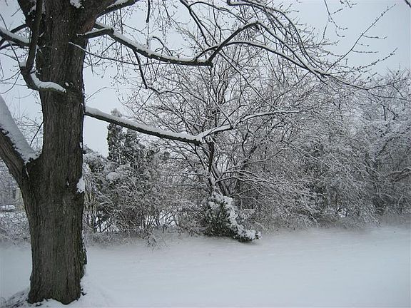 5th image of 6371 Braxton Pl
