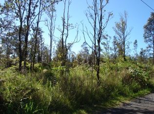 11 2317th #14, Volcano, HI 96785