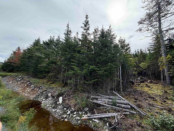 3rd image of LOT 2 Conrod Beach Rd