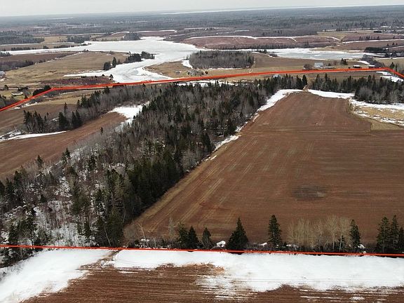 2nd image of 141 Trout River Rd
