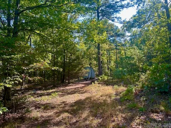 825 Piney Rd, Shirley, AR 72153