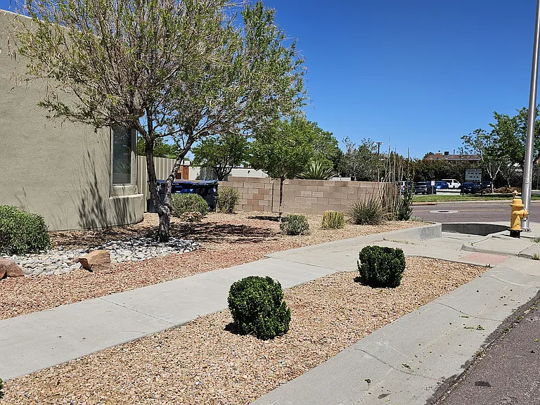 Front yard
