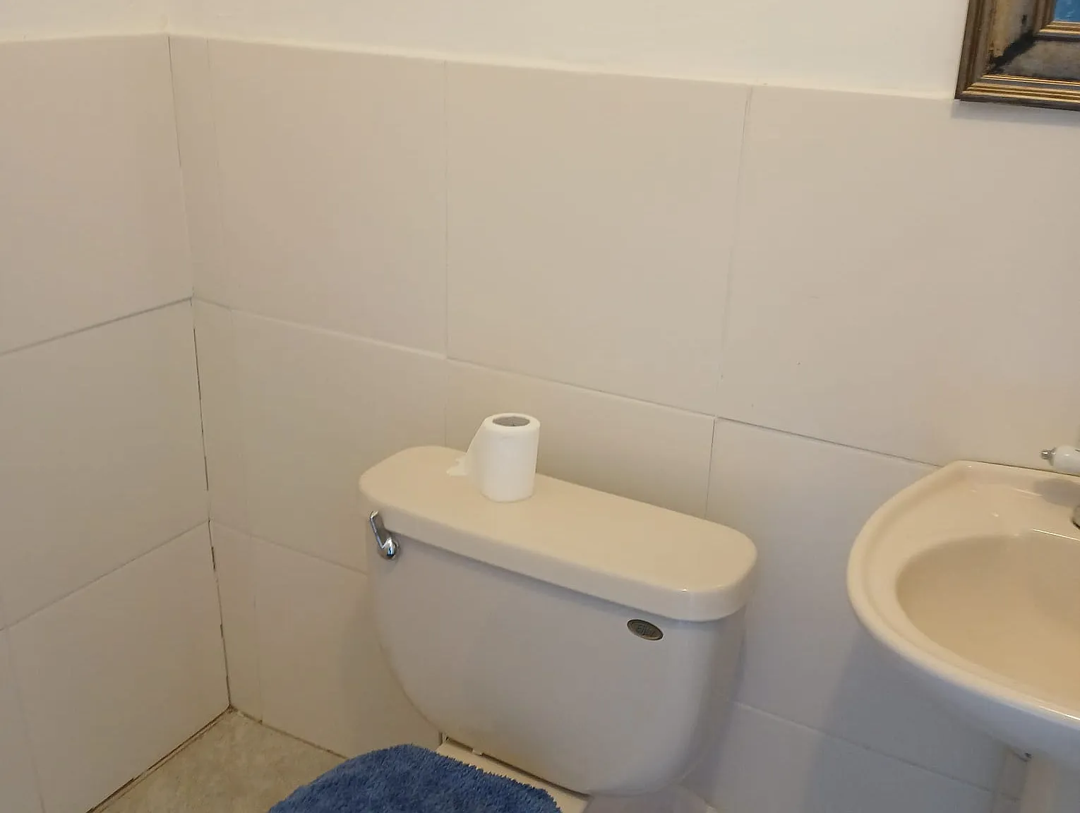 Studio, 830 sqft, $700 — Photo 4