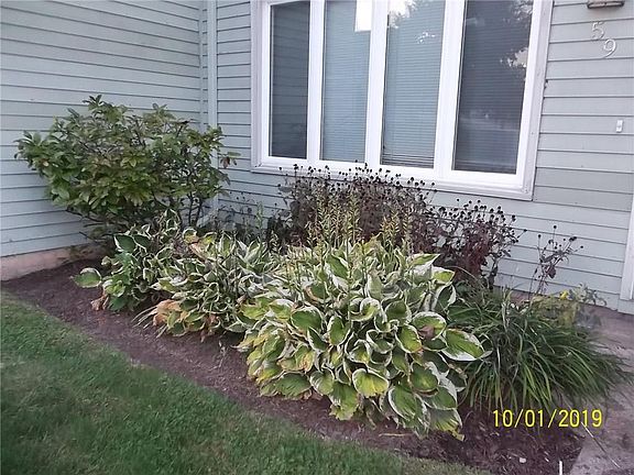 3rd image of 59 Northup Ave #5