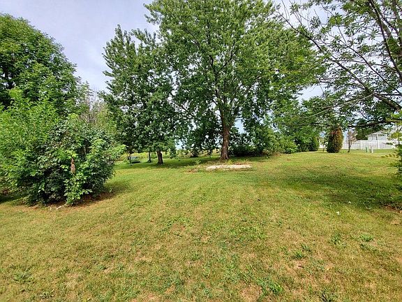 Quiet, spacious backyard