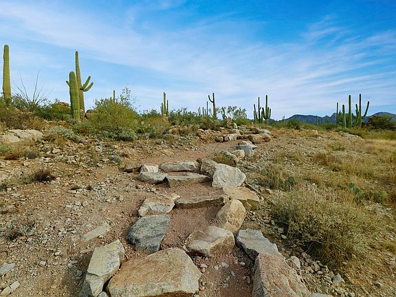 5th image of 1787 Tortolita Mountain Cir #502