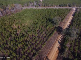 LOT 1 Peanut Rd, Cottondale, FL 32431