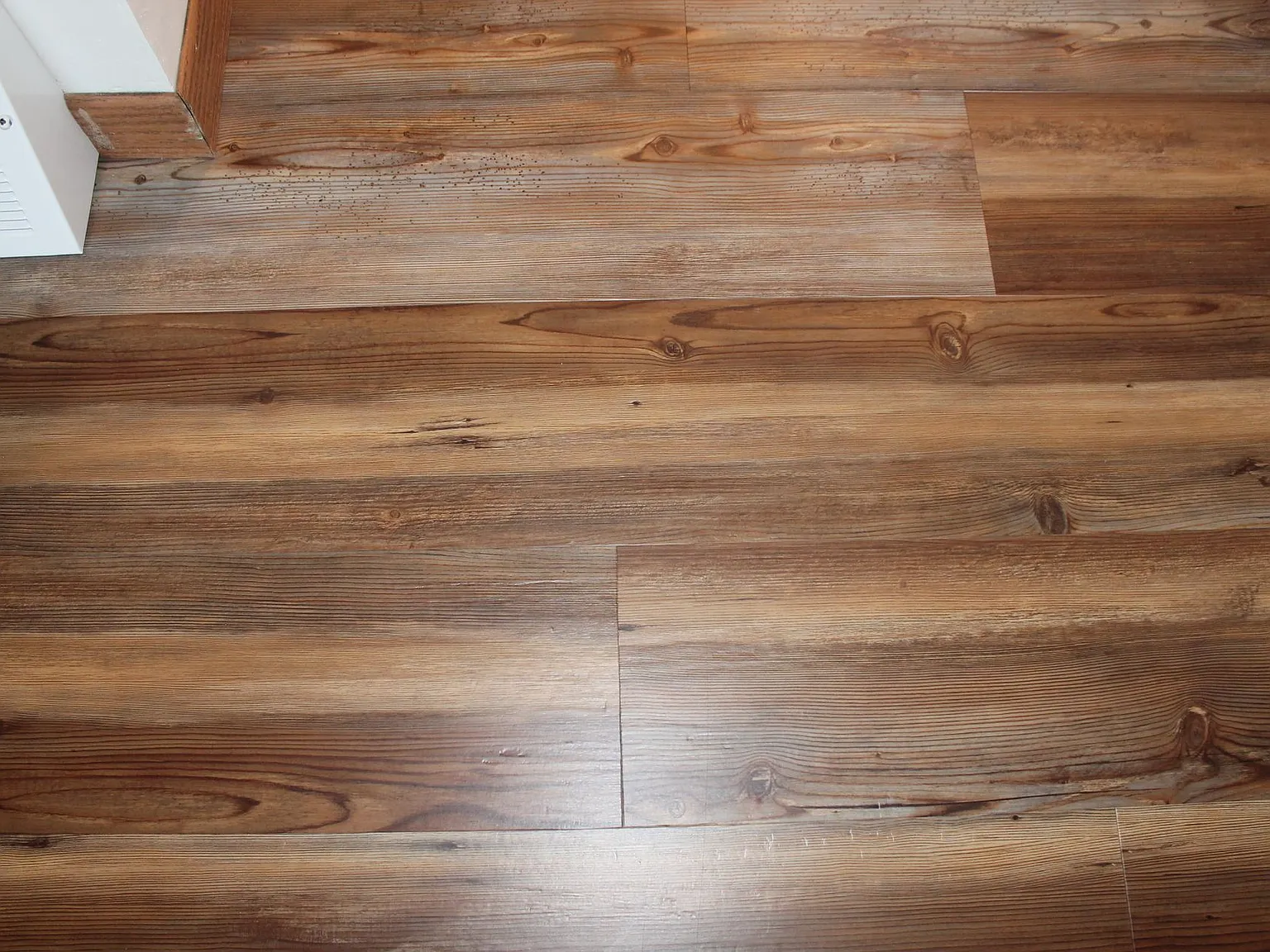 Donnellan Properties - 3126 Alf Ave. — Photo 1