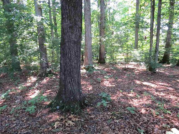 4th image of 184 Meadow Oaks Dr