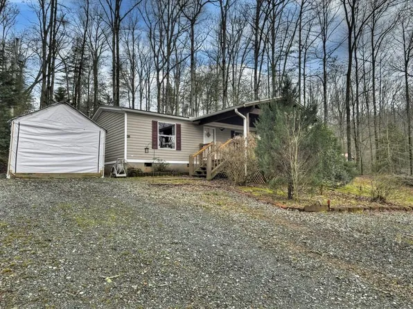 59 Christel & Nathan Ln, Blue Ridge, GA 30513