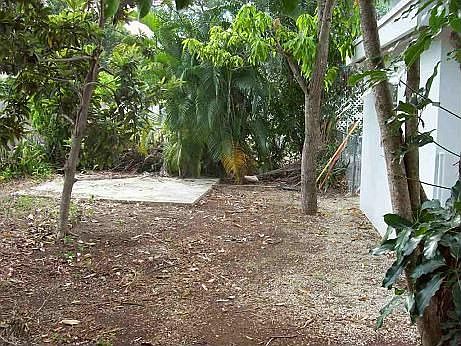 Back yard