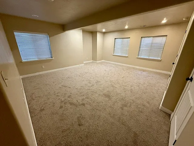 Basement greatroom