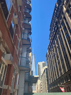 Rented by Voro NYC | media 22