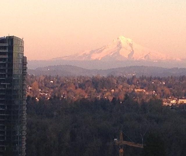 East Mt. Hood View