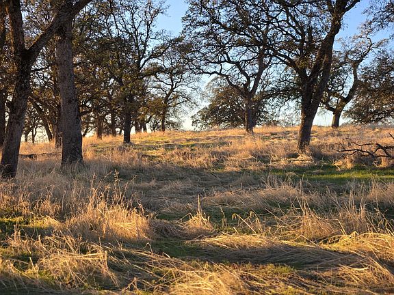 2nd image of 0 Avacado Rd