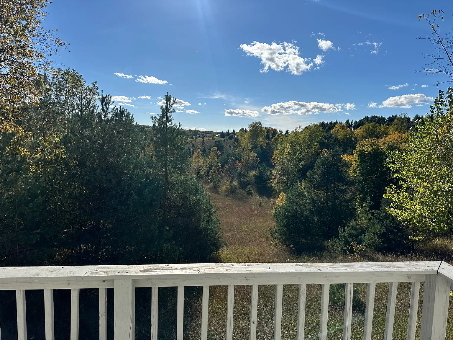 2 bed, 850 sqft, $1,725 — Photo 1