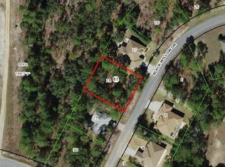 6 Black Willow Dr, Homosassa, FL 34446