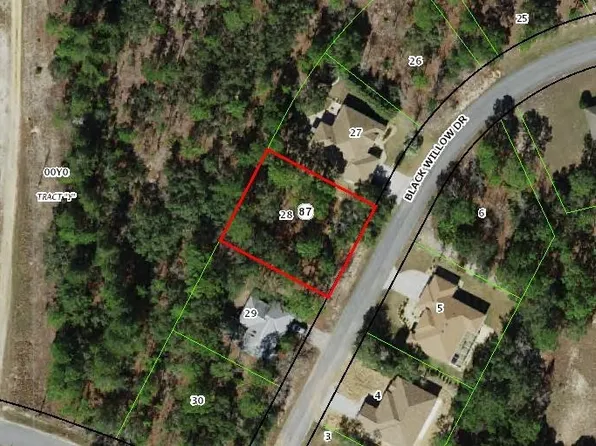 6 Black Willow Dr, Homosassa, FL 34446