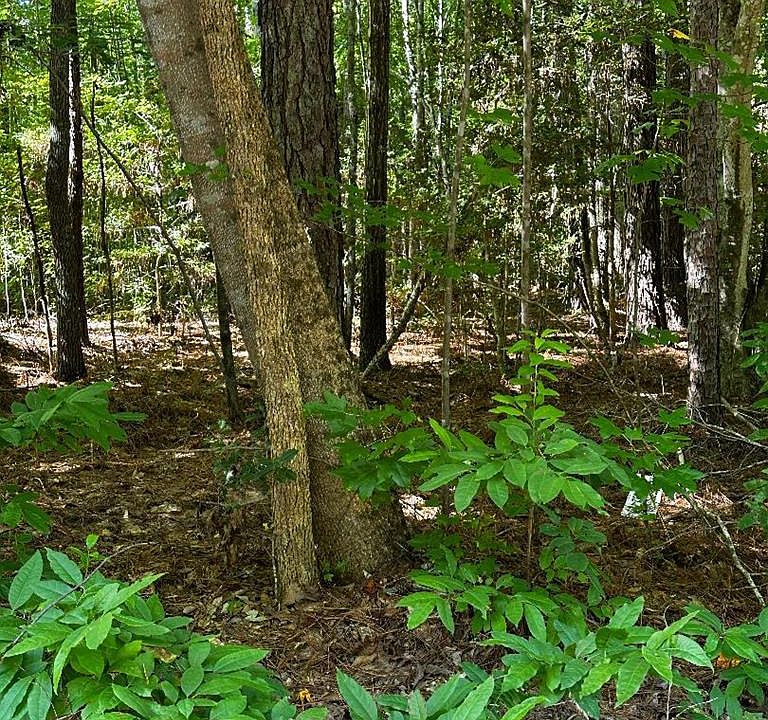 1st image of 0 Plantation Dr