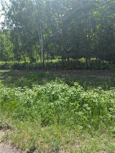 Lot 3 CSM #2055 361st Street, Stanley, WI, 54768