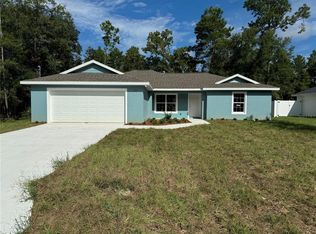 17 Bay Ter, Ocklawaha, FL 32179