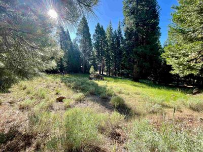 720 Clifford Dr, Westwood, CA, 96137