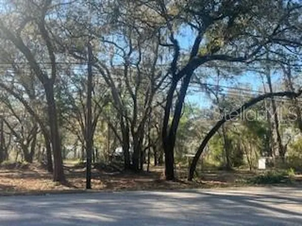 16222 LIVINGSTON AVENUE LOT 56, LUTZ, FL 33559