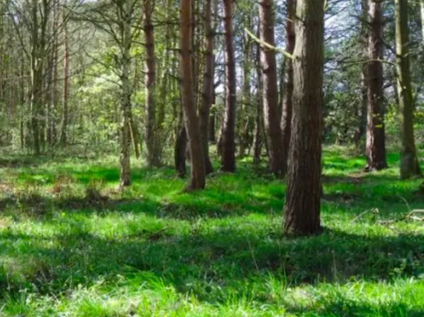 2 Winterberry Way, Norfolk, MA 02056