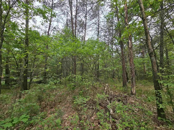 LOT 1 16th Ave #1, Necedah, WI 54646