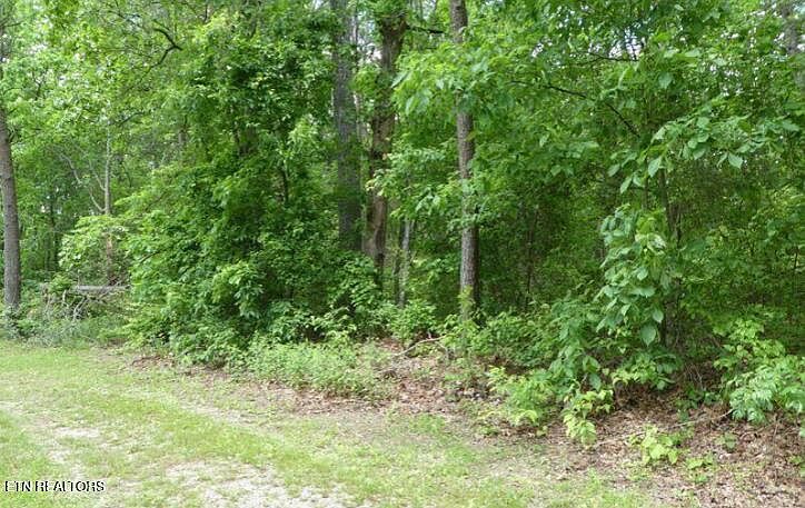2nd image of George Young Rd