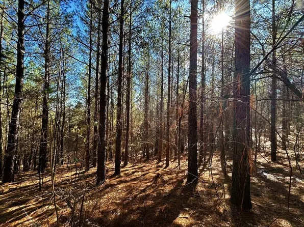 1553 Redman Ridge Ln, Decatur, TN 37322