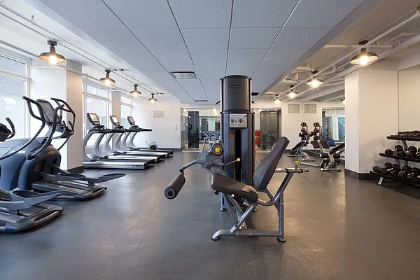 Rented by Aura Management | media 55