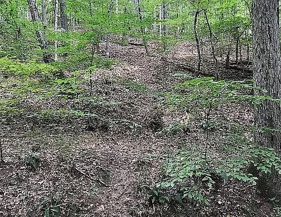 4th image of Creek Indian Trl