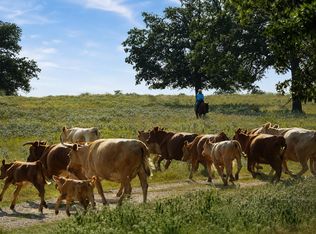 4504 State Highway 304, Rosanky, TX 78953