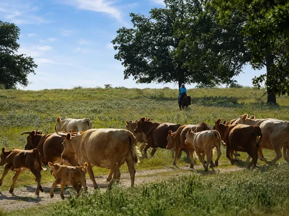 4504 State Highway 304, Rosanky, TX 78953