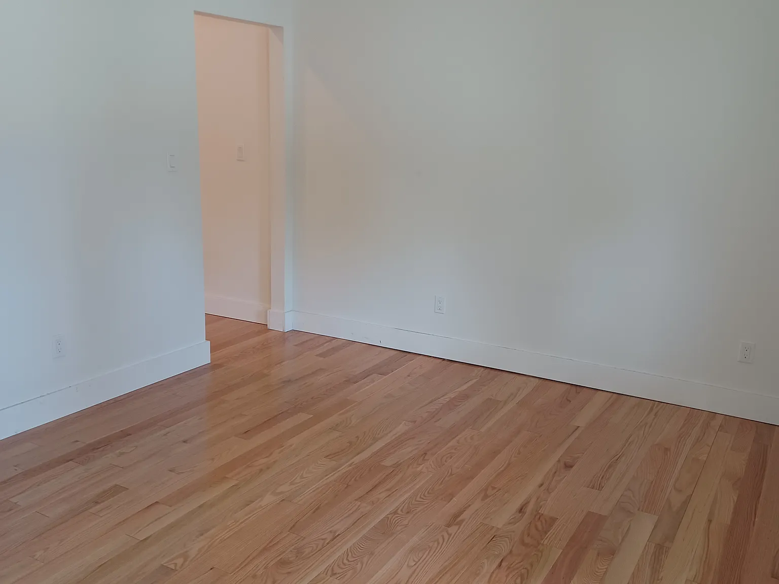 1 bed, $1,500 — Photo 2