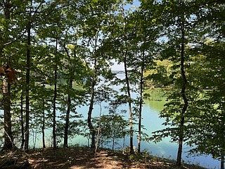 5th image of 0 Abbe Pl Lot 159