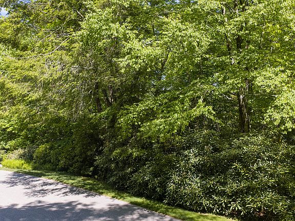 5th image of Lot 10 Ravenel Ridge Road
