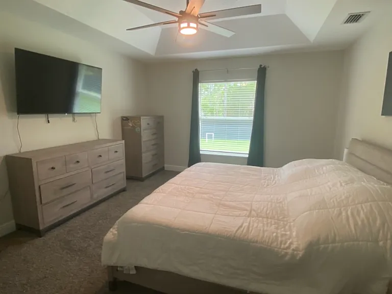 Primary bedroom - trey ceiling, carpet, walk-in closet, ceiling fan, blinds