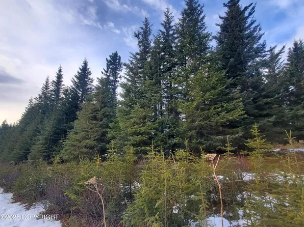 17491 Kimeluk St, Ninilchik, AK 99639