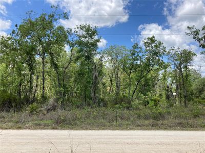 13 On Ter NE #108, Bronson, FL, 32621