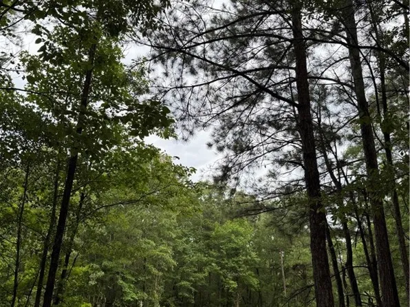 0 Highway 188, Waverly, AL 36879