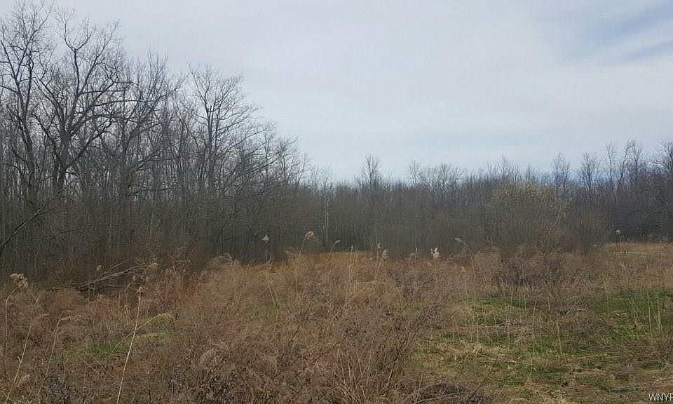 2nd image of 9850 Brauer Rd