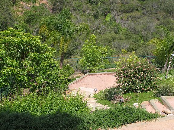 View of Backyard
