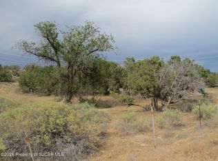 LOT 1A Road 2950, Aztec, NM 87410