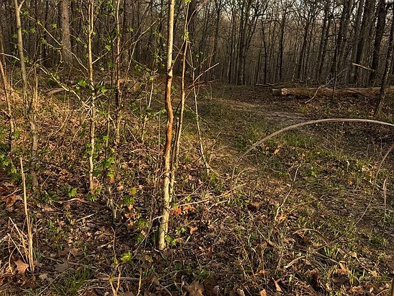 2nd image of 0 Powell Rd
