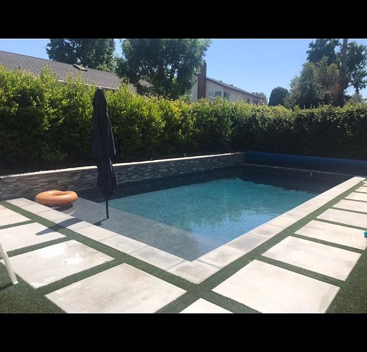 100 privacy hedges surrounding back yard